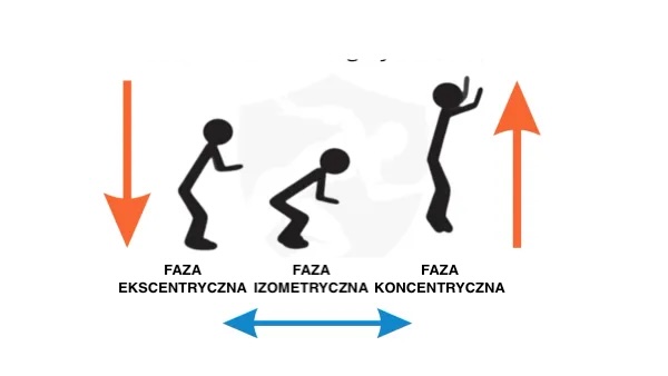 fazy wyskoku